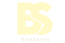 BS Ventures